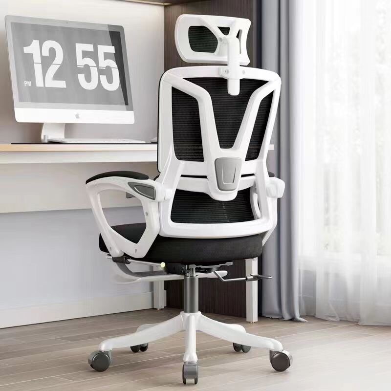 Ghế Công Thái Học Cao Cấp TMS08